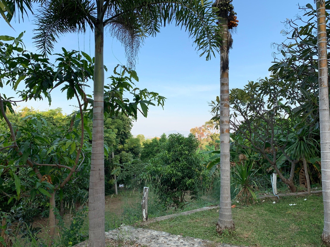 Memoria Palace & Resort主图