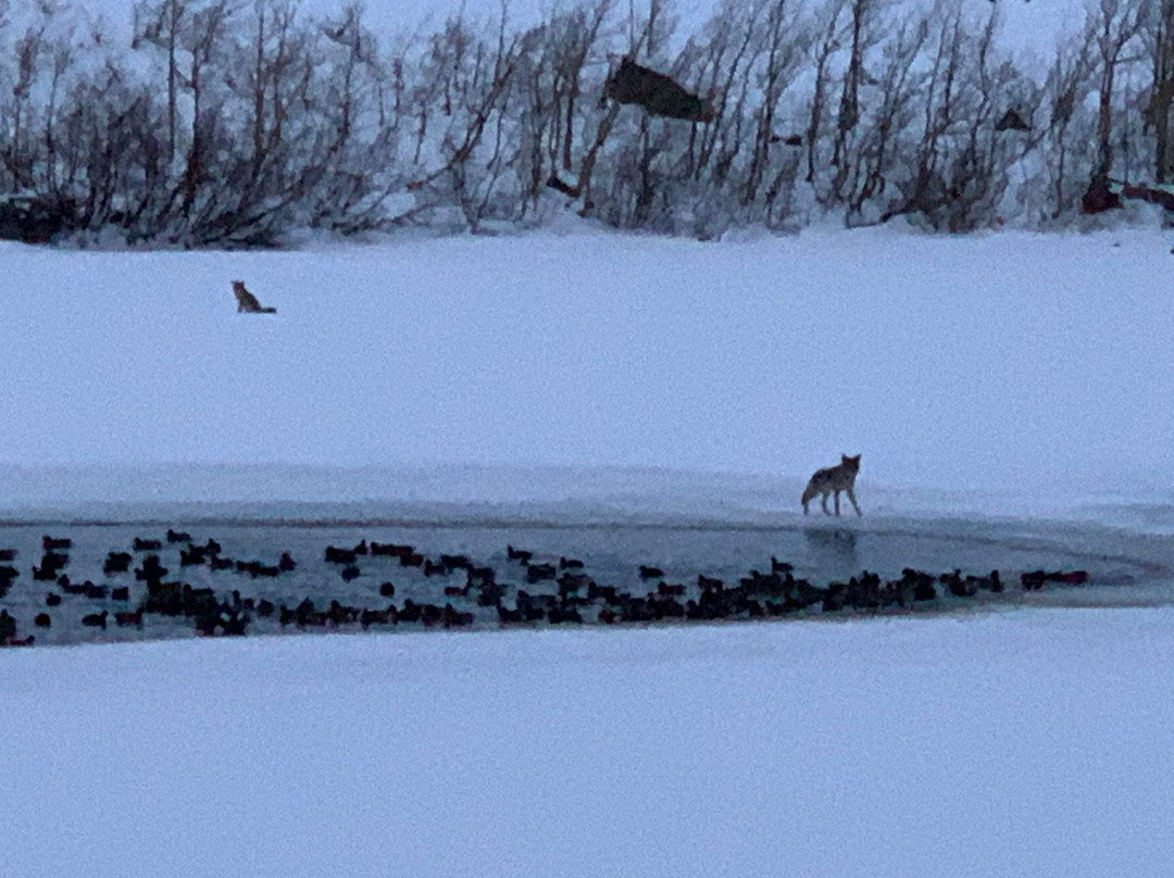 塔玛拉克小屋度假村主图