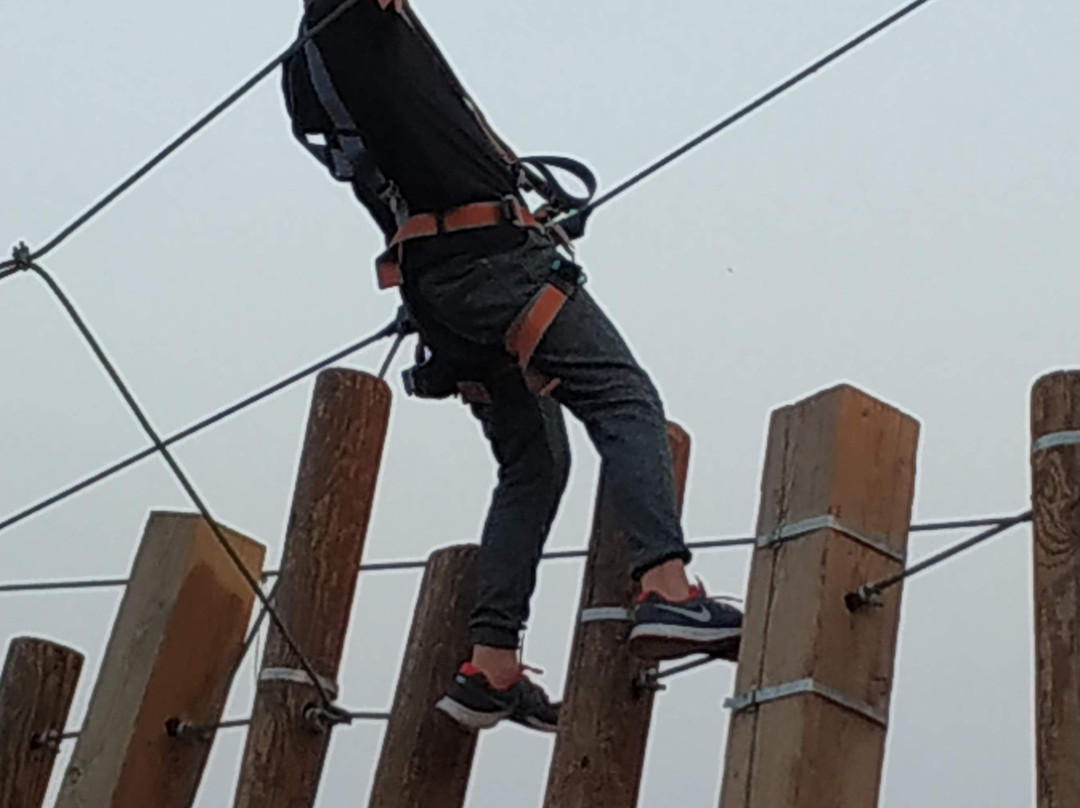 Camel Ranch Eilat-埃拉特必去景点