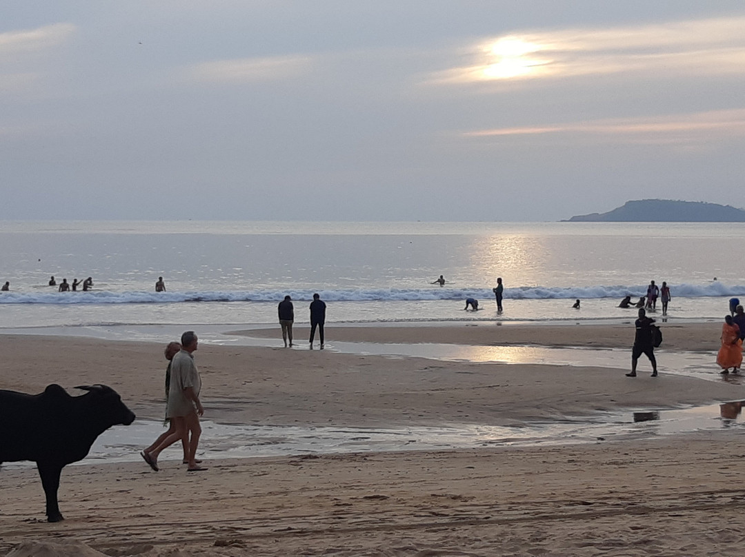 Leon Hide Out Guest House主图