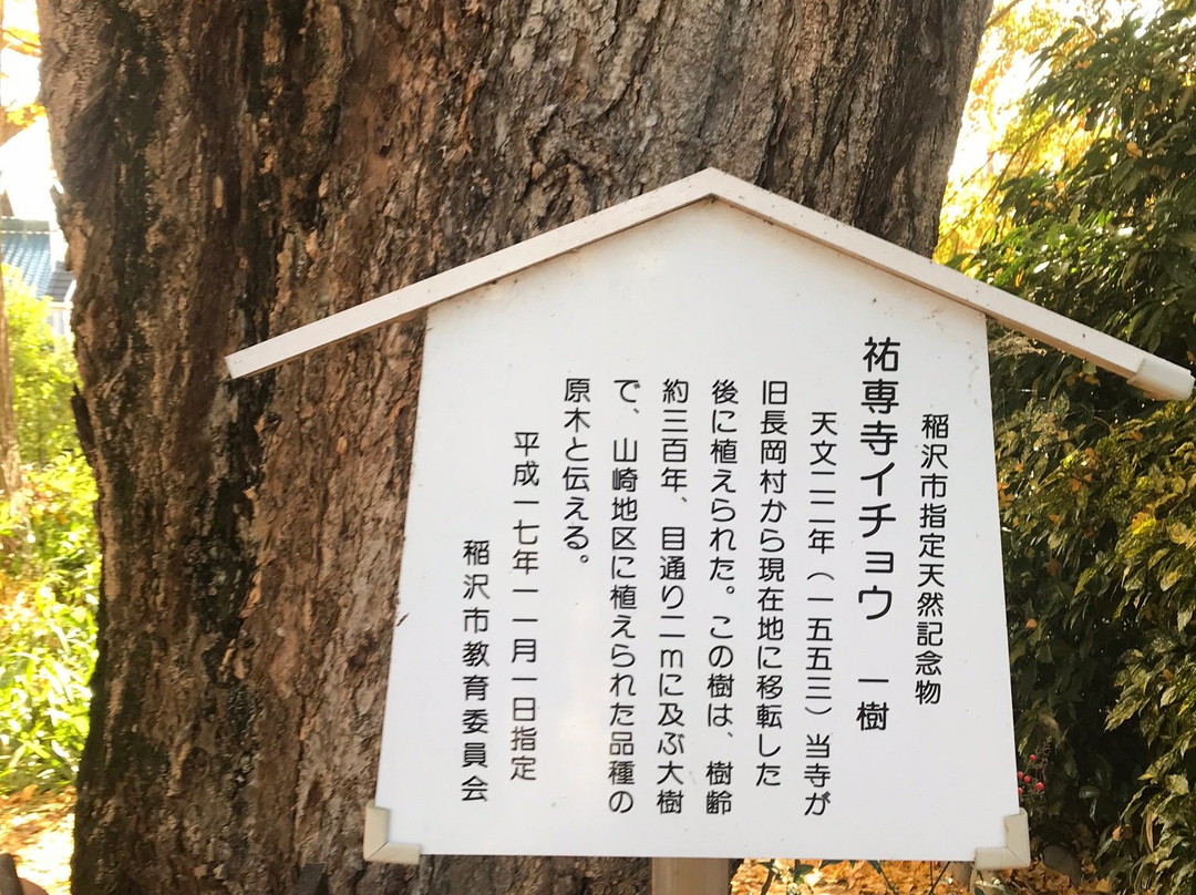 Yusenji Temple景点图片