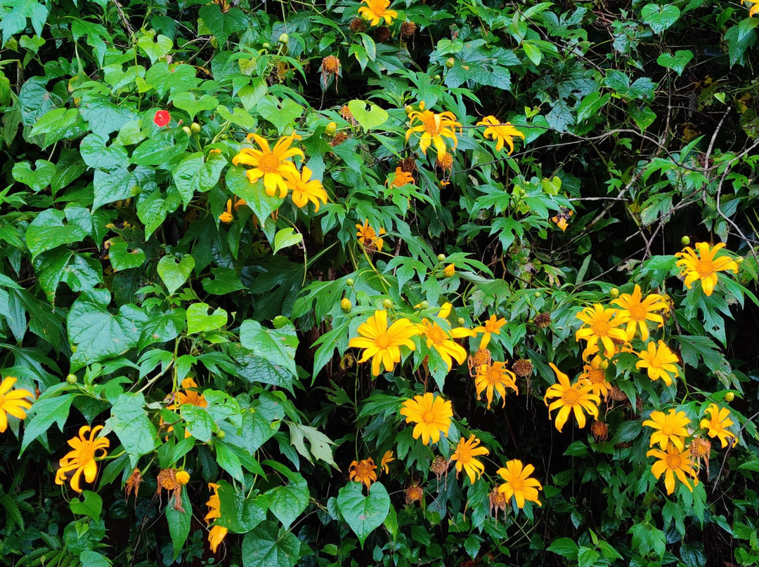 Ciceronis Travel-Pozhuthana必去景点