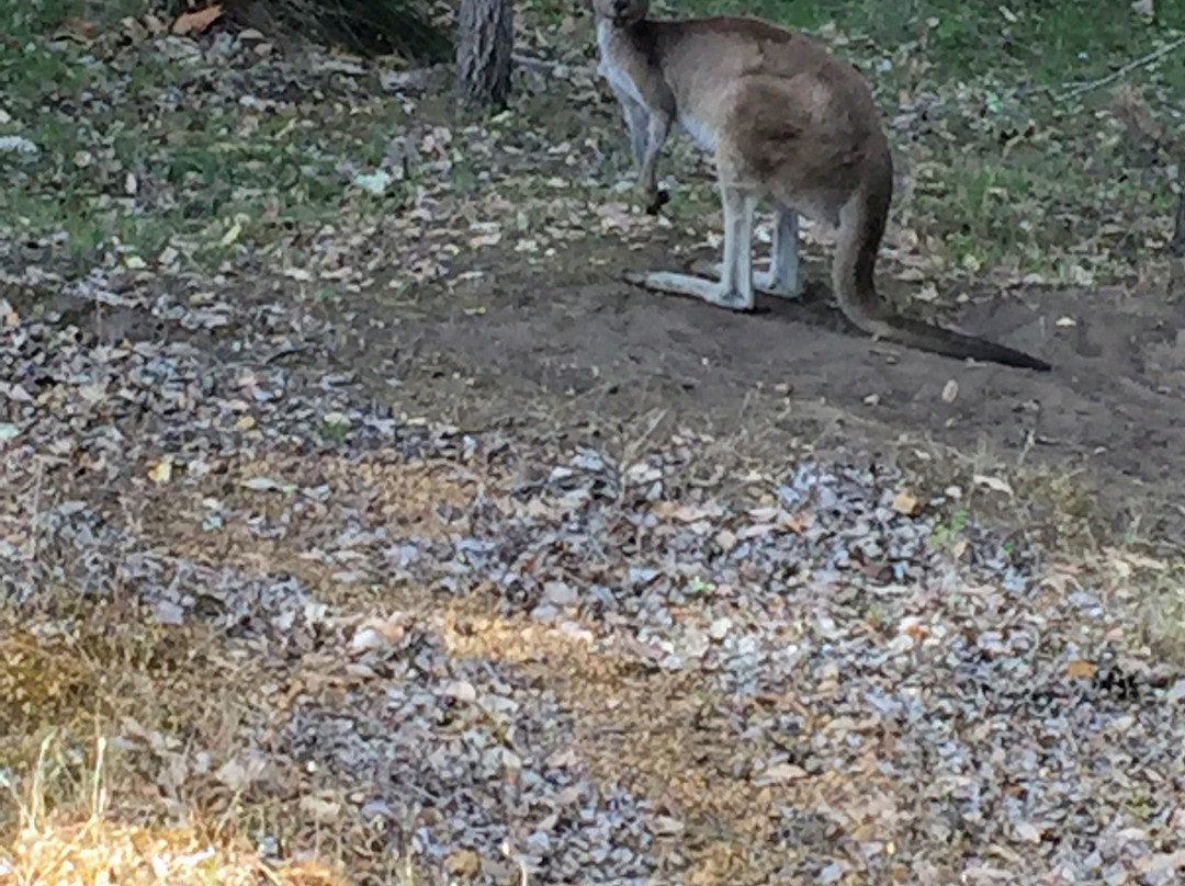 Riverwood Retreat主图