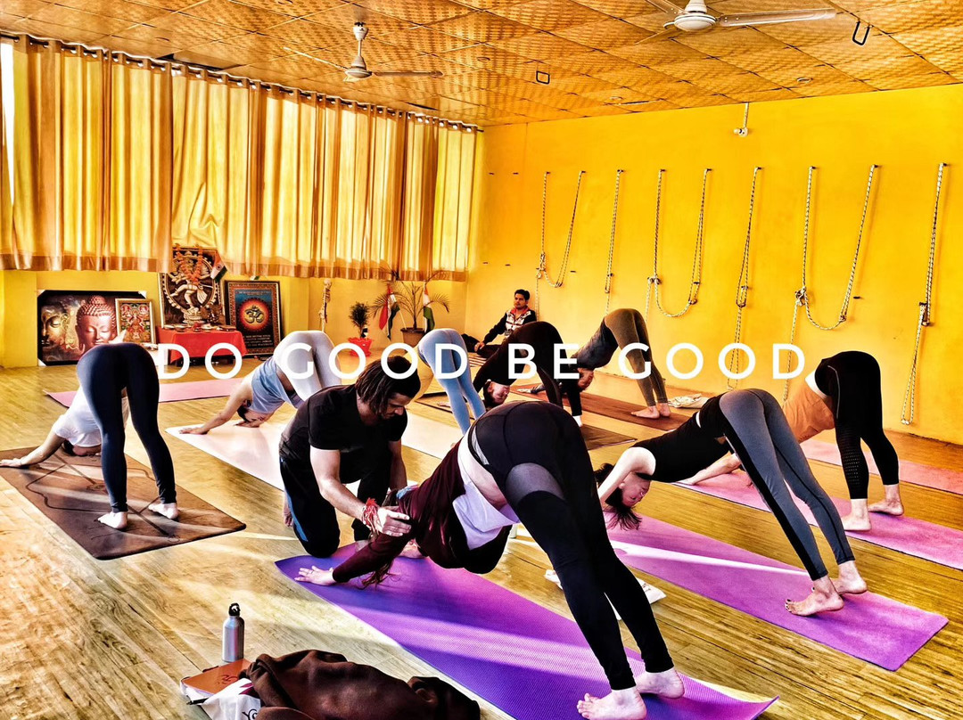 Yog Amritam Yoga Teacher Training景点图片