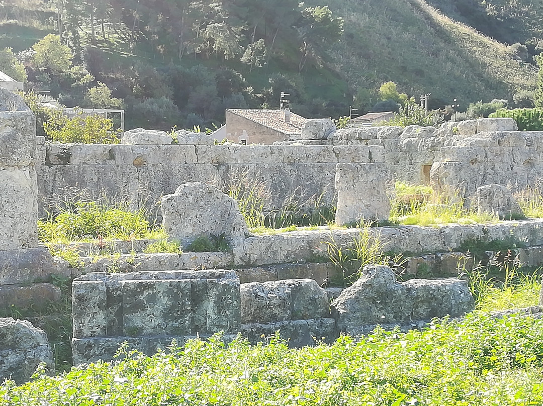 Tempio di Himera景点图片