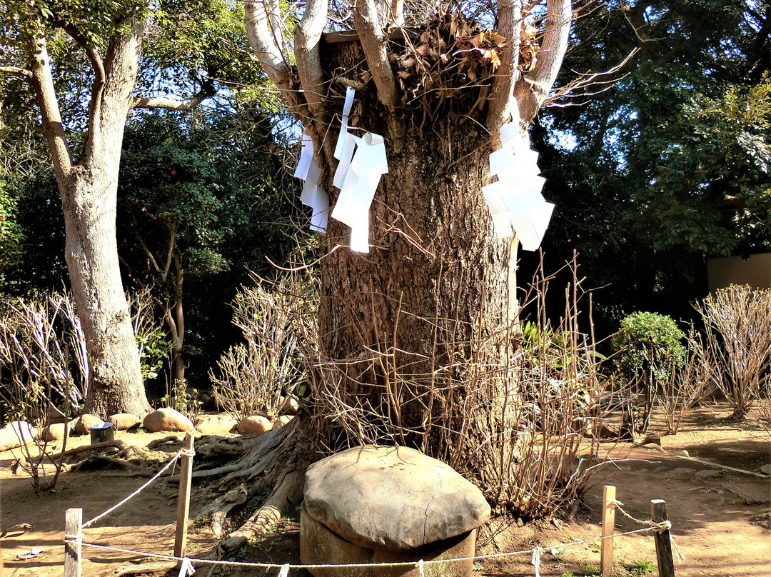 Kameishi（Turtle-Shape Stone）景点图片