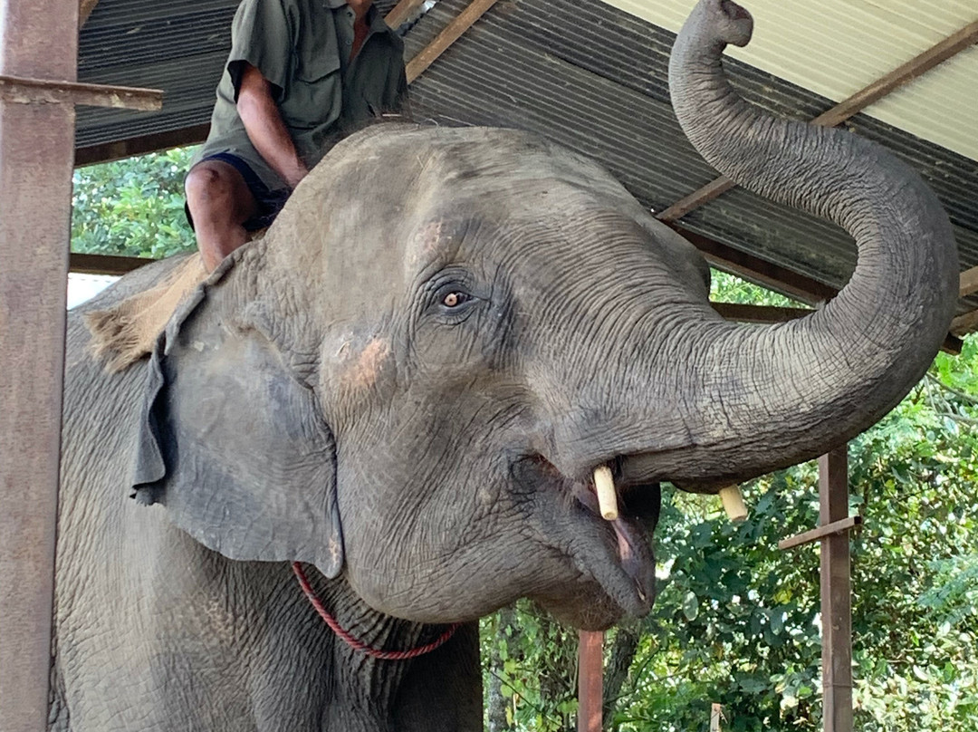 Kasara Chitwan主图