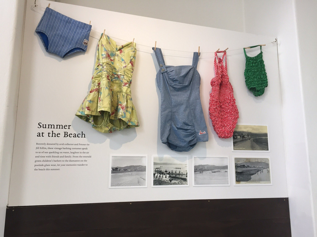 Petone Settlers Museum景点图片