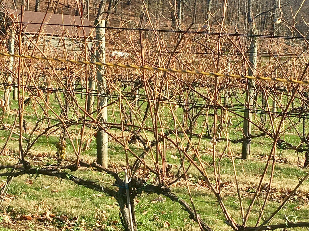 White Silo Farm & Winery-Sherman必去景点