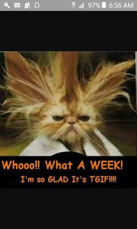 Popeyes Louisiana Kitchen