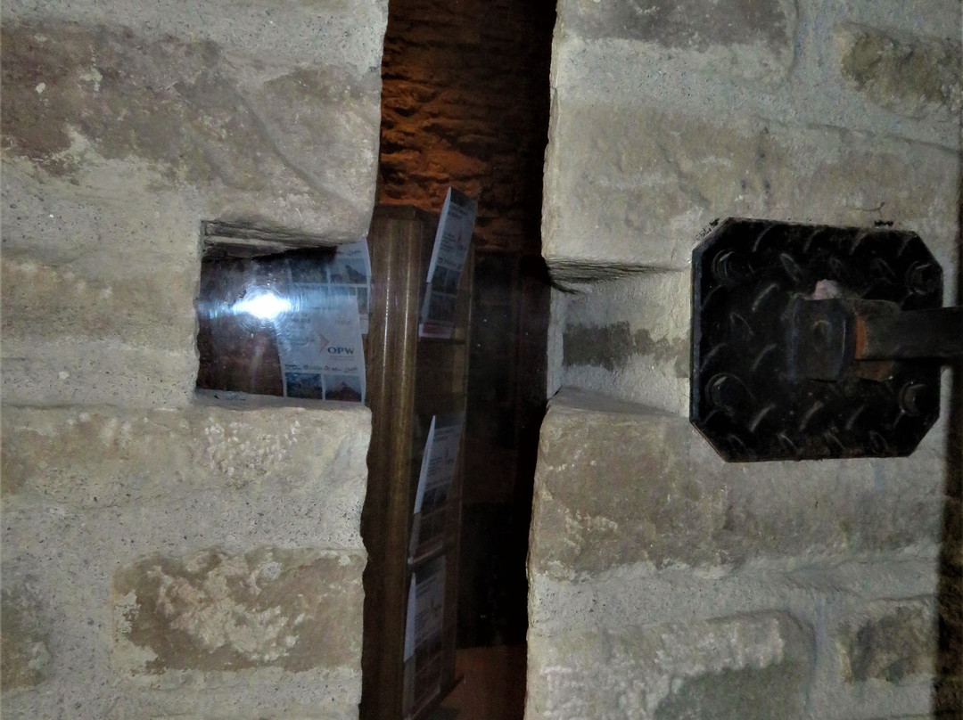Roscrea Castle-Roscrea必去景点