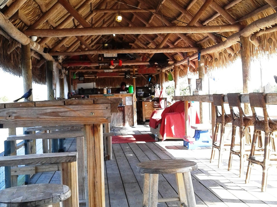 Big Cypress National Preserve-奥乔皮必去景点