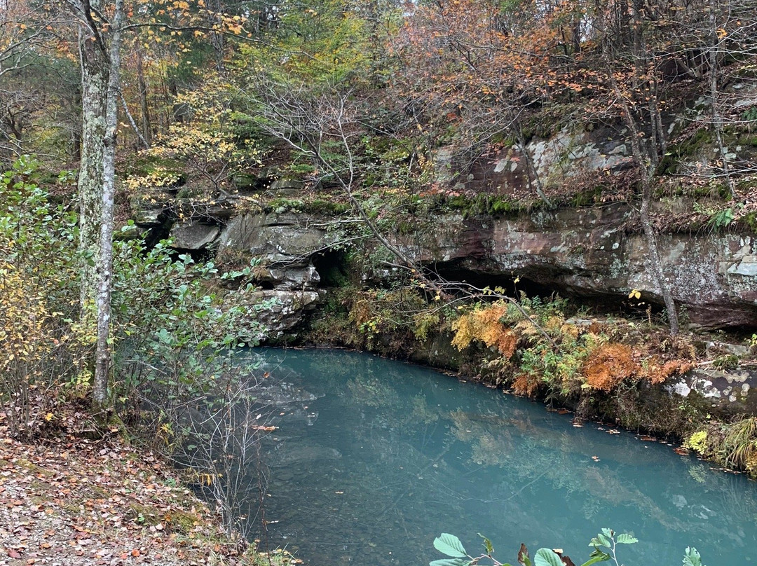 Bell Smith Springs-Ozark必去景点