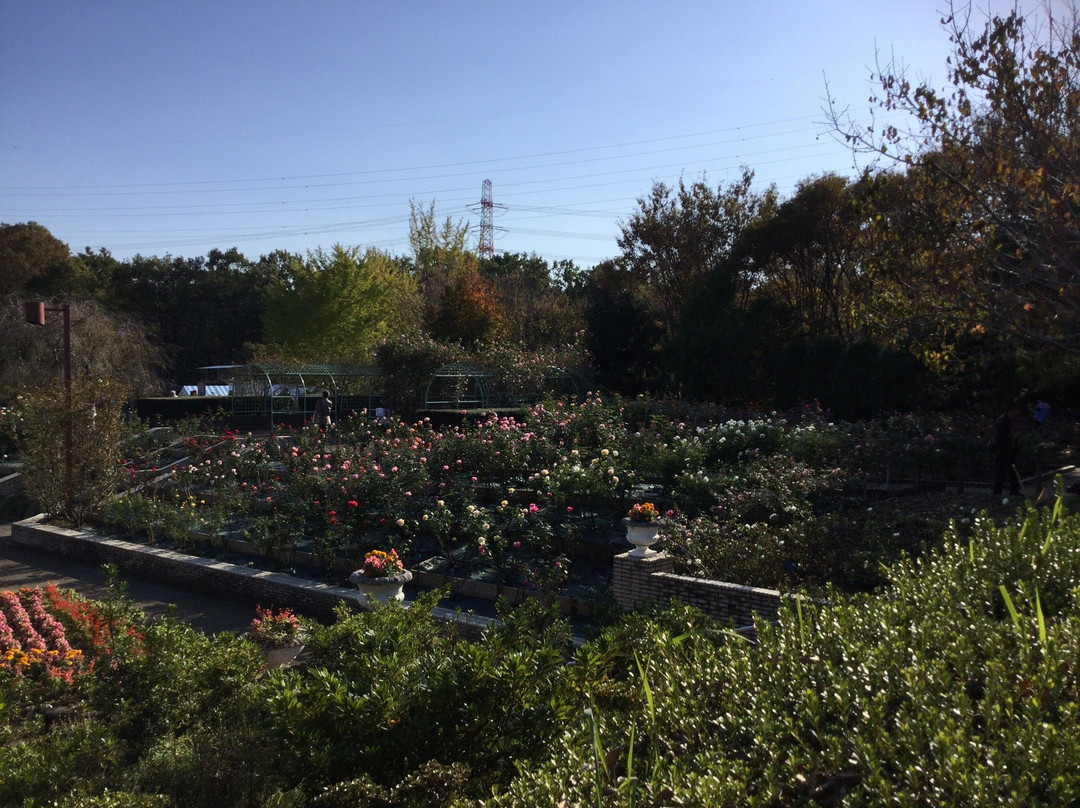 Chikozan Park-狭山市必去景点