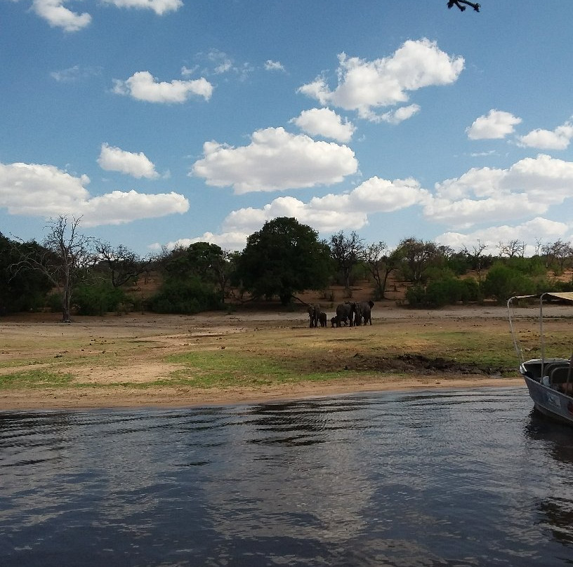 Chobezi Day Trip景点图片