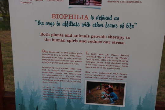 National Museum of Forest Service History-米苏拉必去景点