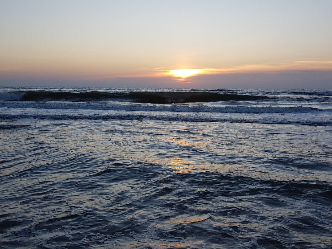 Eco Beach景点图片