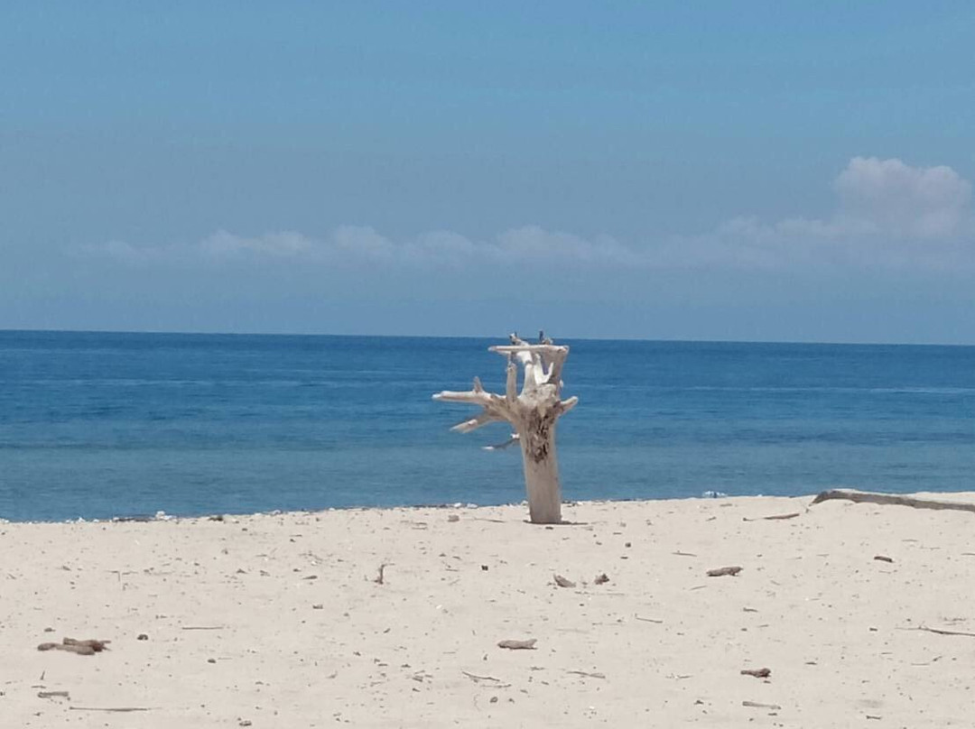 One Dollar Beach-帝力必去景点