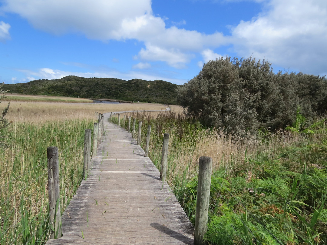 Princetown Wetlands Boardwalk景点图片