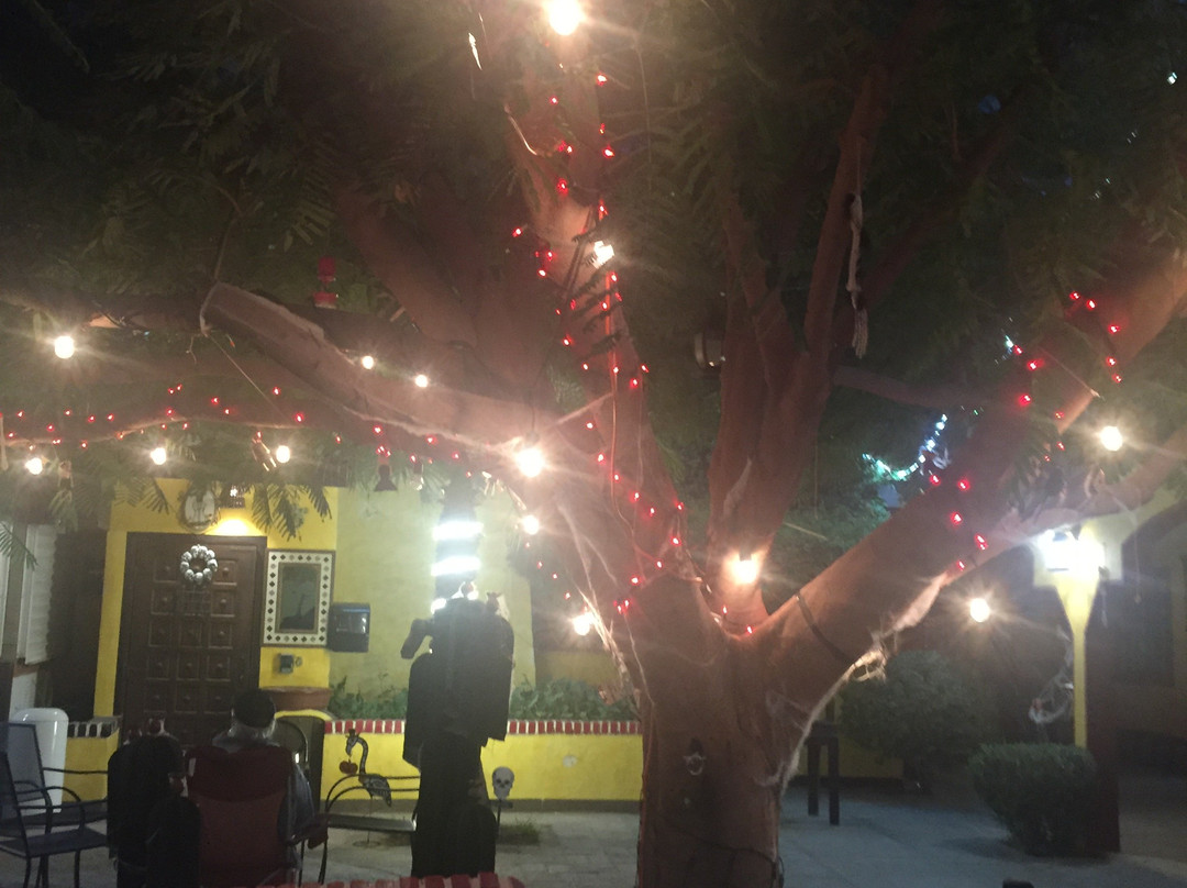 Hacienda Los Algodones主图