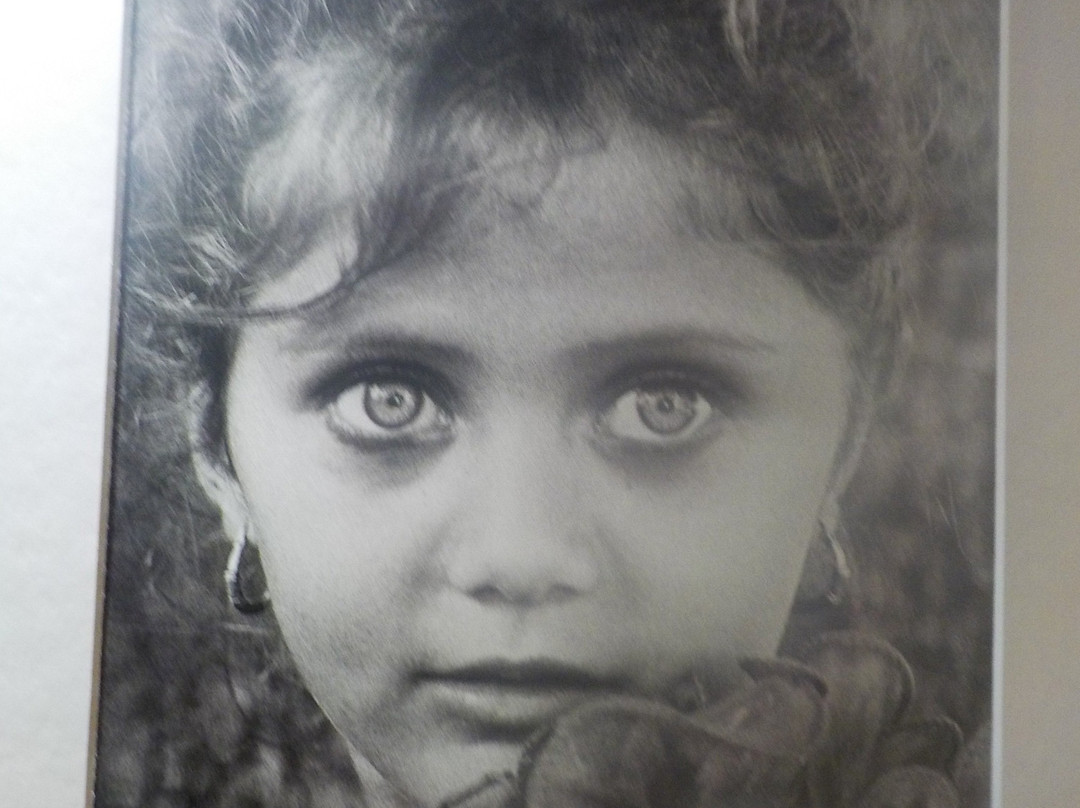 Kochlias Coffee Gallery-Mesolongion必去景点