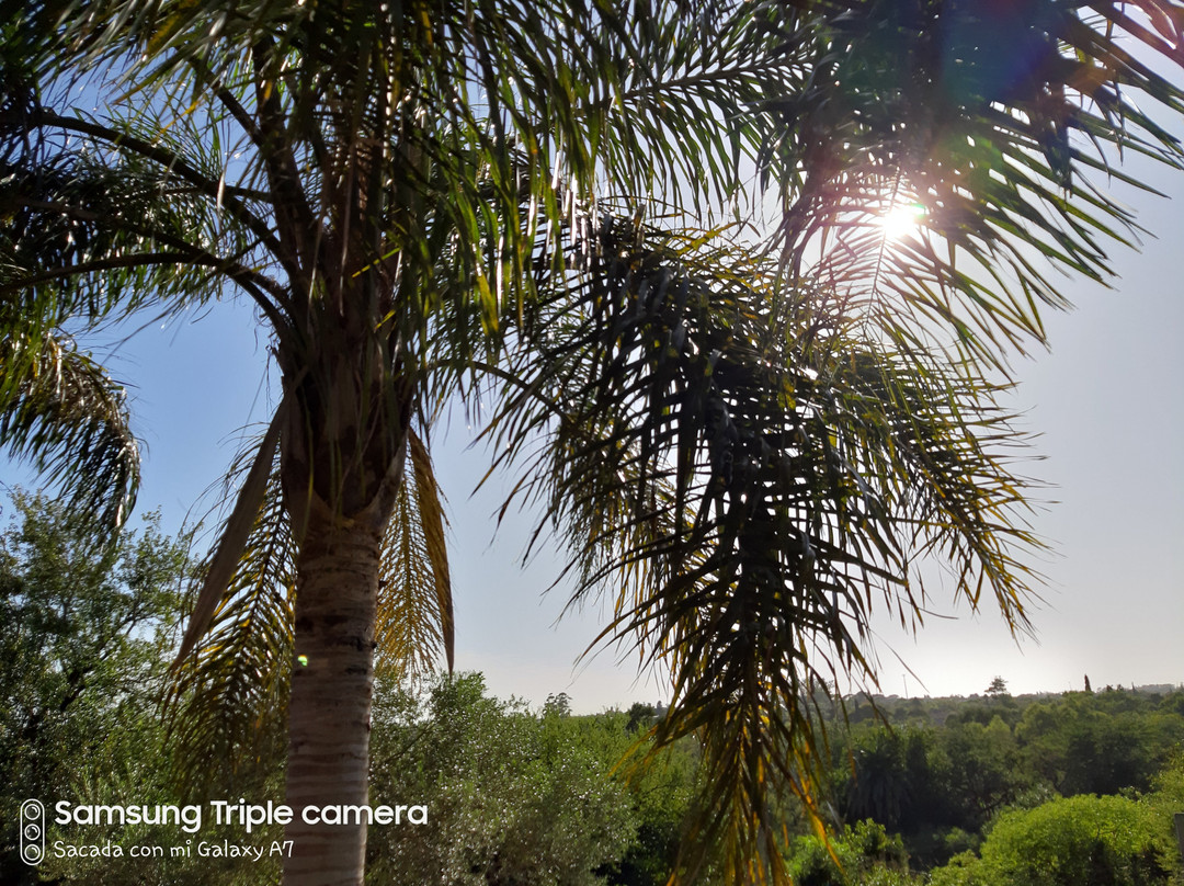 Hotel La Cautiva de Ramirez主图