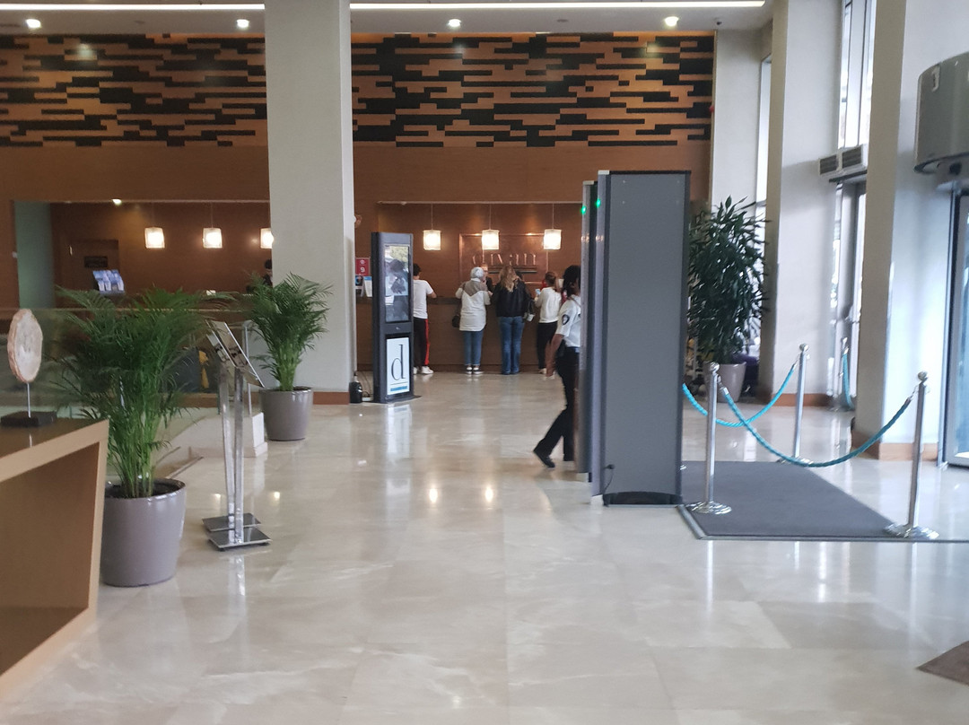 Divan Hotel Gaziantep主图