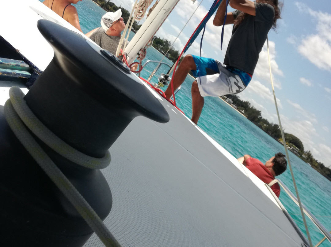 Dreamcatcher Catamaran Tours-开普马欧呵必去景点