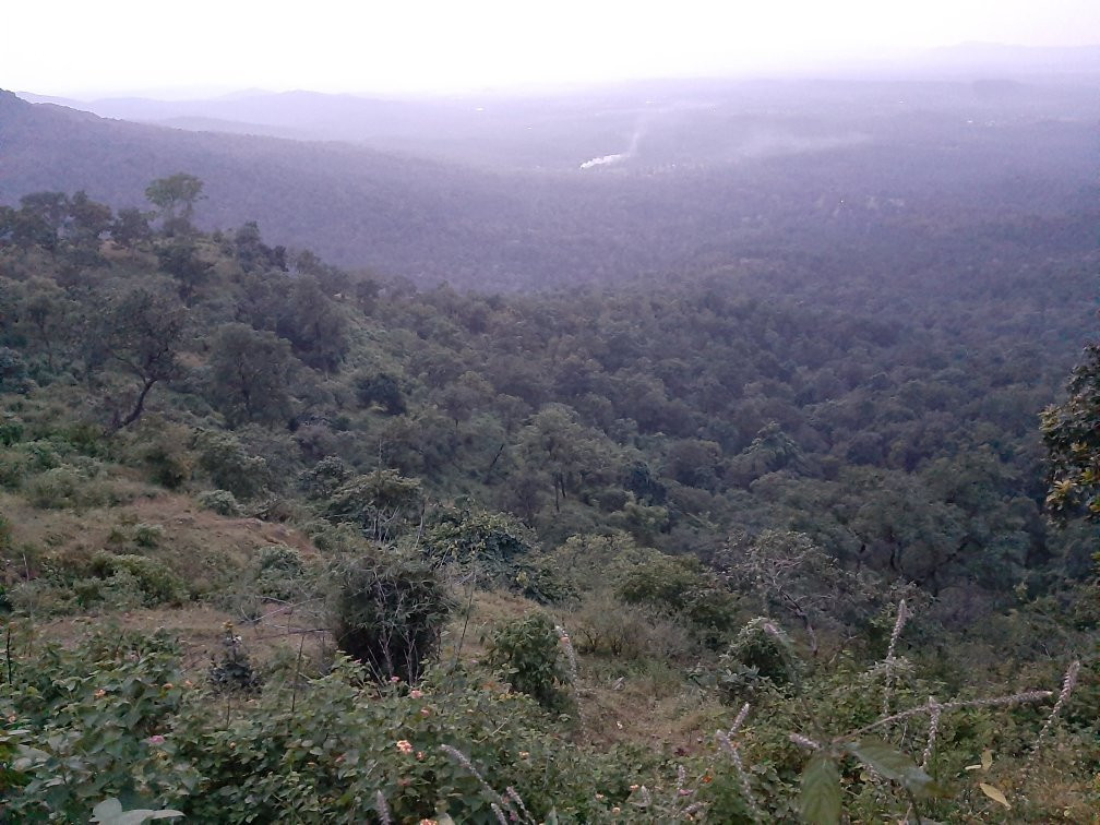 The Monarch Ooty主图