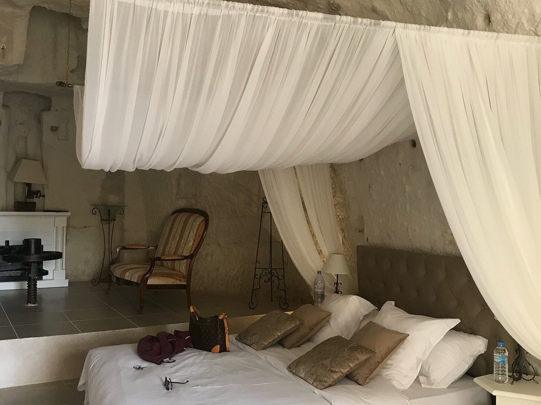 Le Manoir Des Roches 41主图