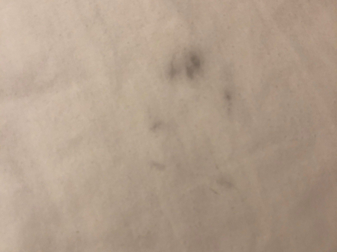 Quality Inn Wickenburg主图