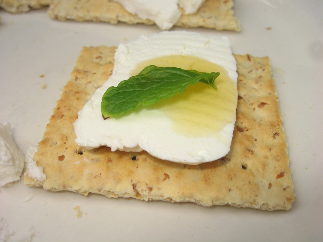 Aletta's Goat Farm (by Appointment Only)