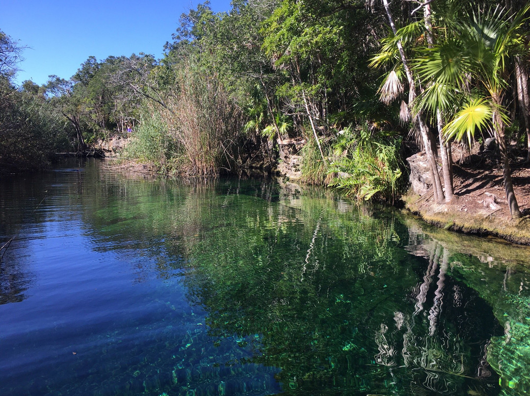 Cenote Crystal景点图片