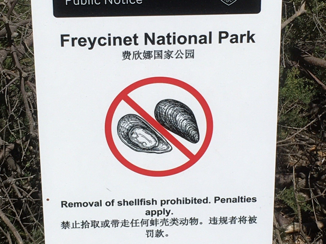 Freycinet National Park Visitor Center景点图片