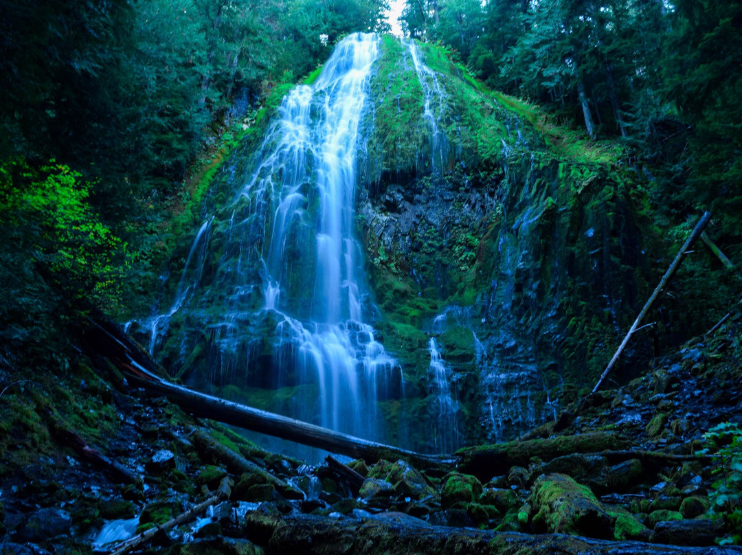 Proxy Falls