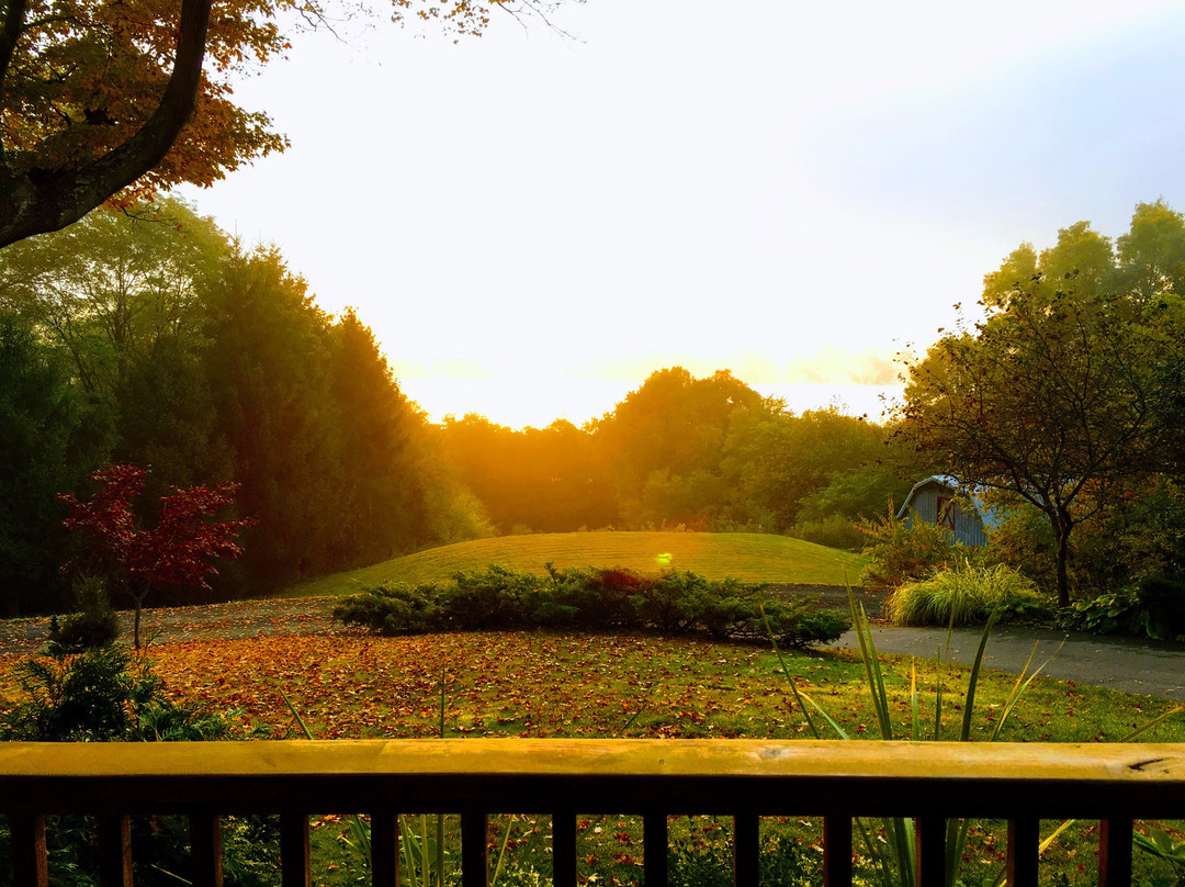 Moonshadow B&B主图