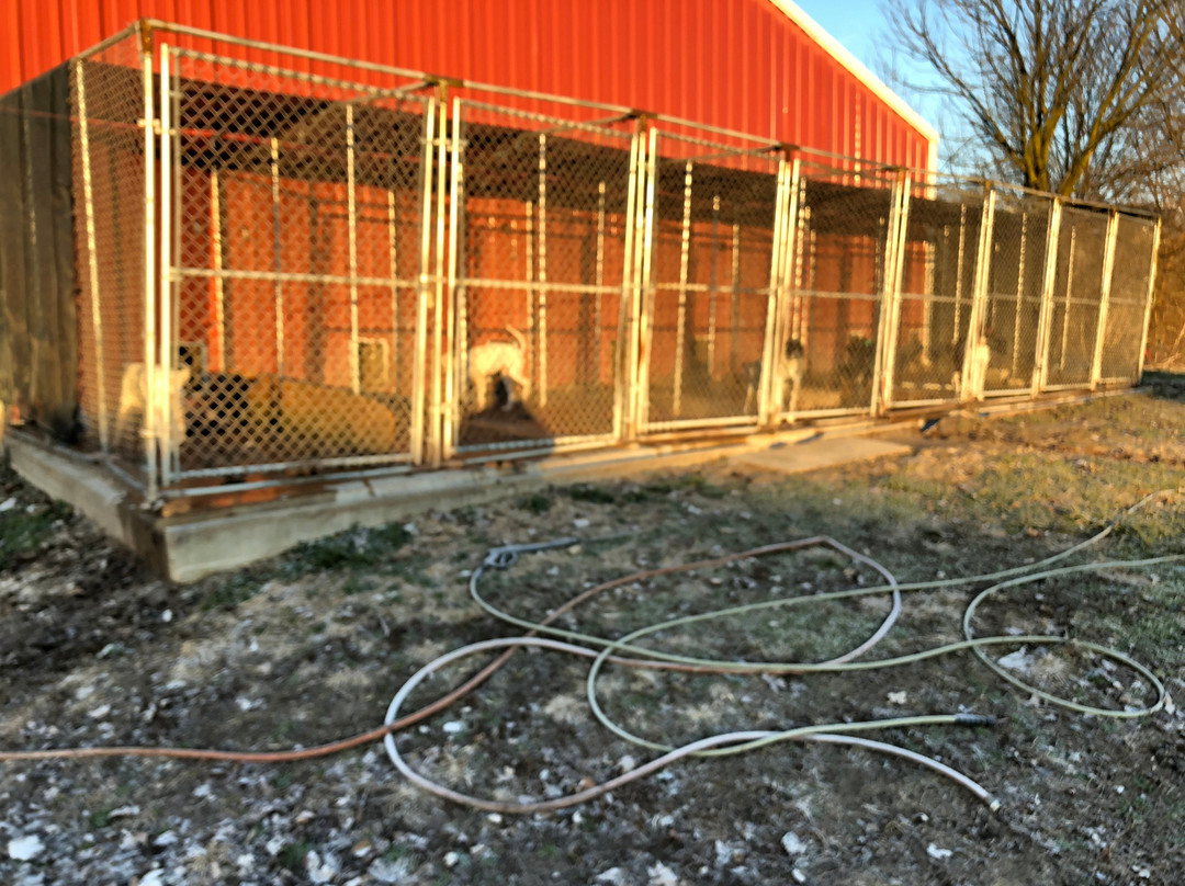 Buckeye Pheasant Hunting Preserve-New Lebanon必去景点