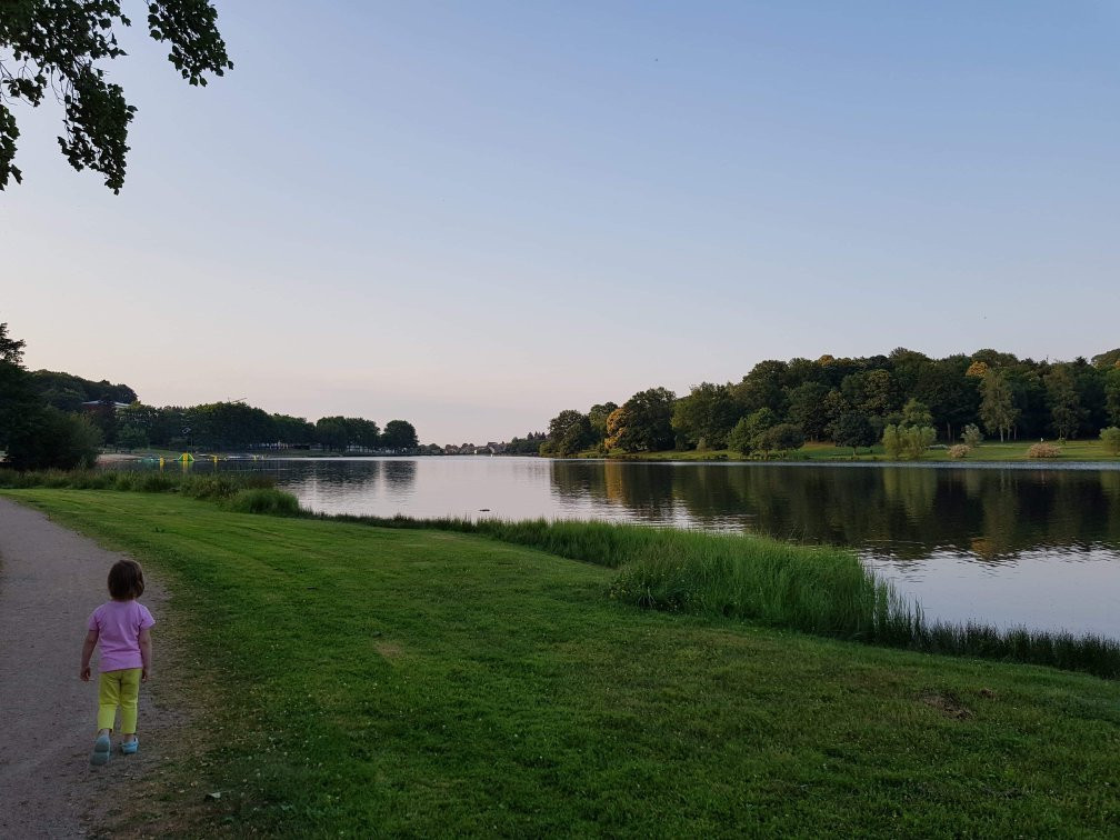 Etang de Courtille景点图片