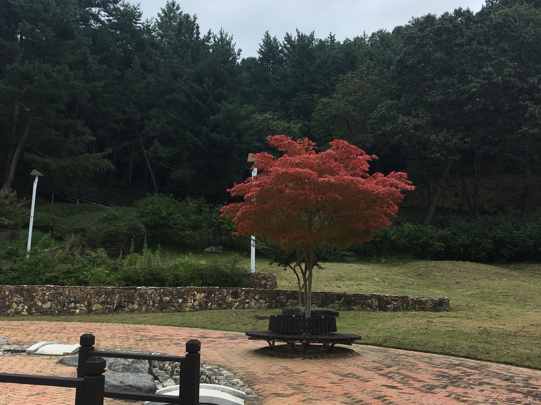 Jinyangho Zoo-晋州市必去景点