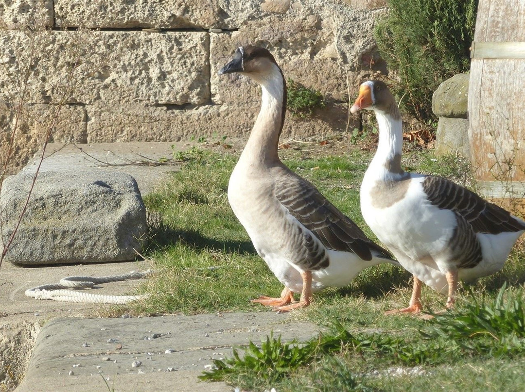 Office de Tourisme du Somail - Côte du Midi景点图片