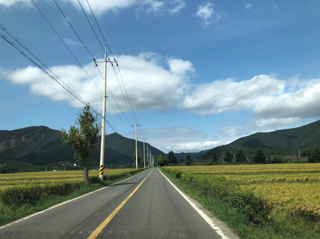 Oksanseowon Confucian Academy-庆州市必去景点