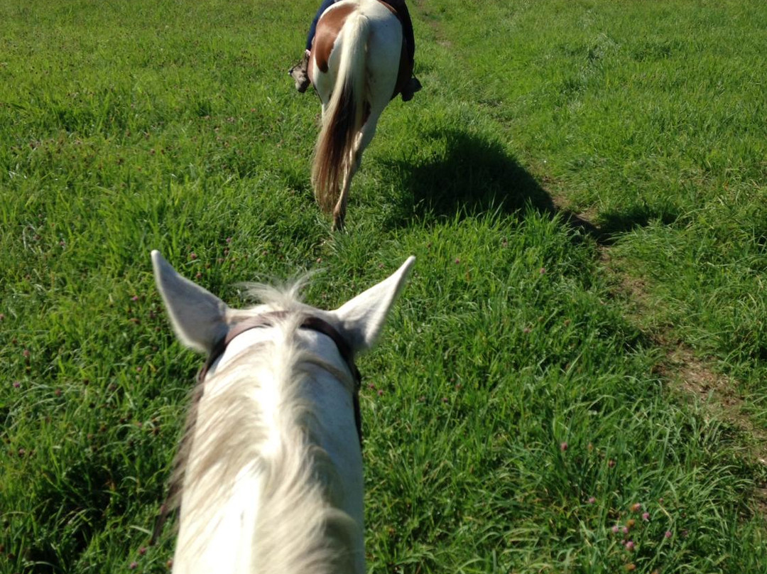 Undermountain Farm-莱诺克斯必去景点