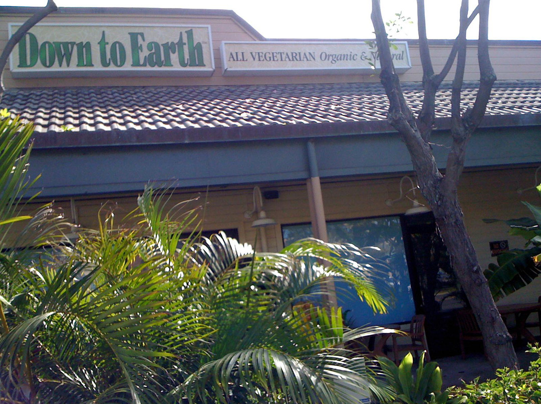 Down to Earth Hilo-希洛必去景点