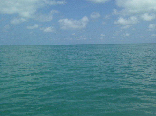 Key West Boat Trips-基韦斯特必去景点