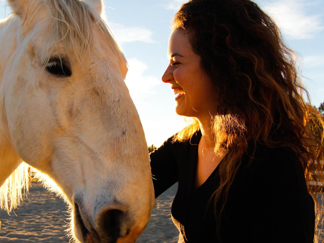 Bridgit Wald-博尔德必去景点