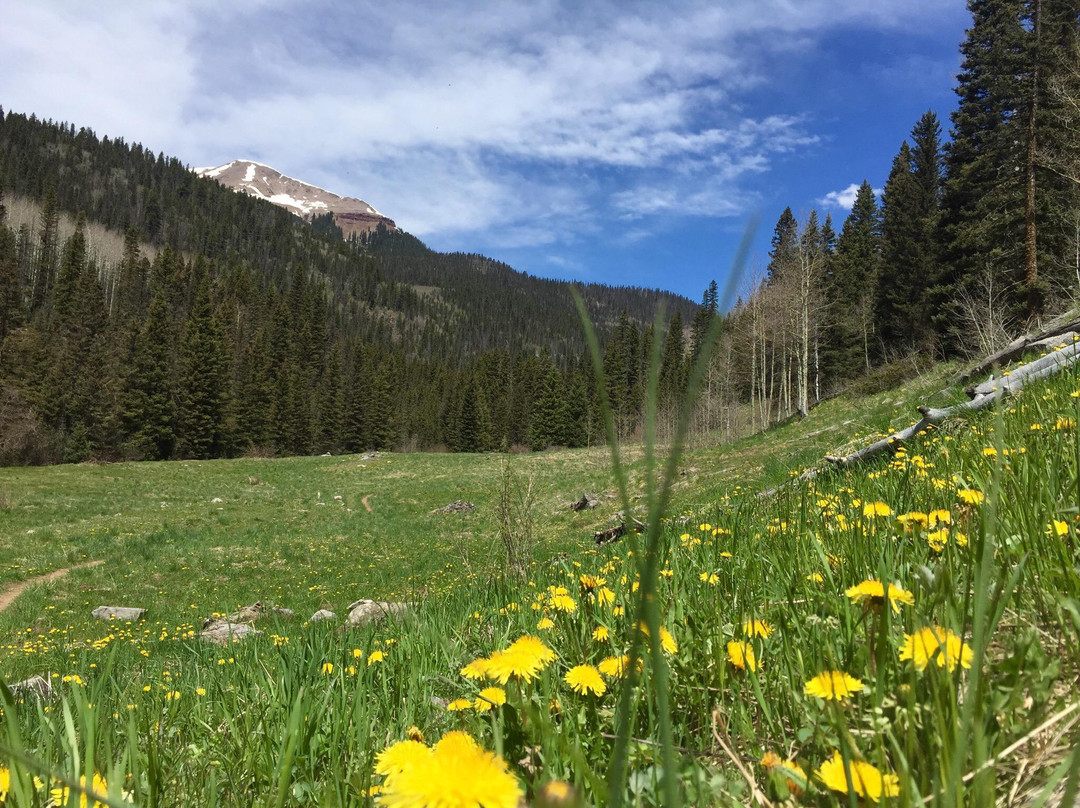 Cascade Creek Trail
