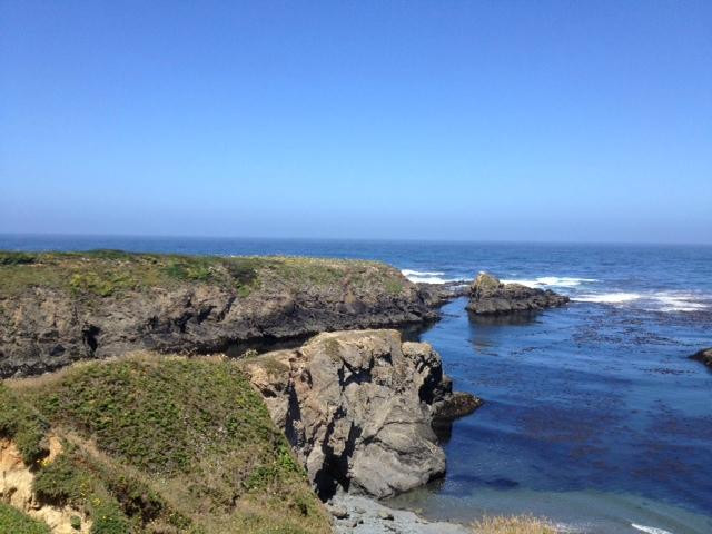 Lost Coast Scenic Drive景点图片