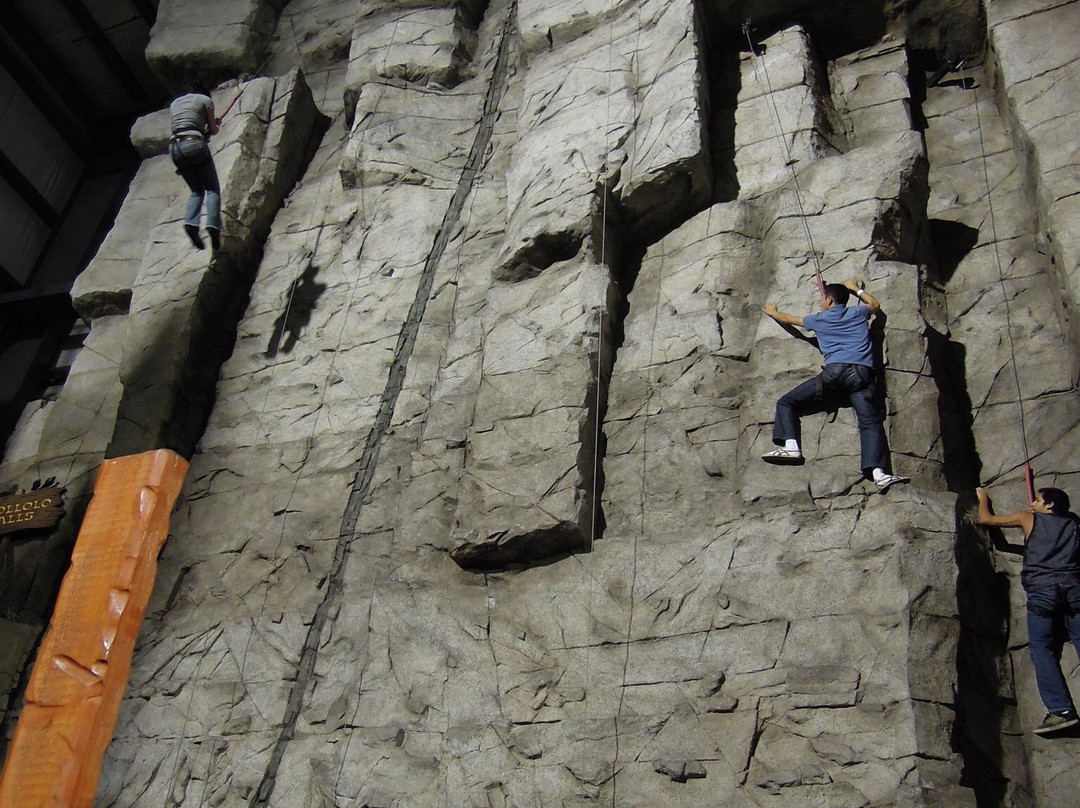 McDermont X-Lindsay必去景点