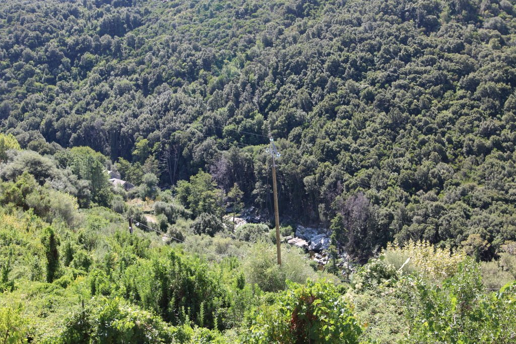 Fontaine Source Liccioli景点图片