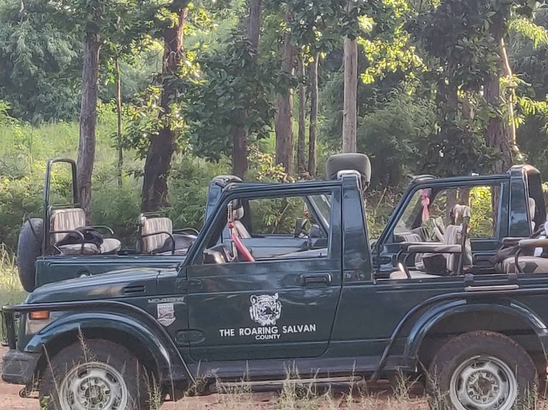 The Roaring Salvan County主图